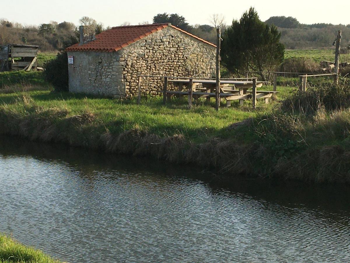 Le Clos De La Viniere 滨海雅尔 外观 照片